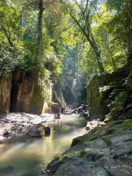 DIJUAL TANAH KOMERSIAL, PAYANGAN, UBUD