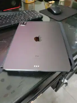 IPAD Pro 113rd  M1