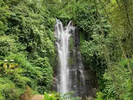 DIJUAL TANAH DENGAN VIEW AIR TERJUN DAN HUTAN, MUNDUK, BULELENG,BALI