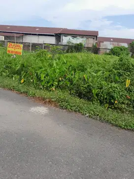 Tanah luas cuma 20 meter dari pinggi jalan raya pramuka kilometer 6