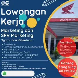 Lowongan Sales Marketing