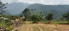 Dijual rumah kebun di kaki Gunung Salak di Cigombong Bogor