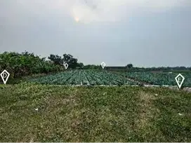 JUAL! Tanah Pertanian Aktif Karawang Timur Siap Garap - Akses Mudah