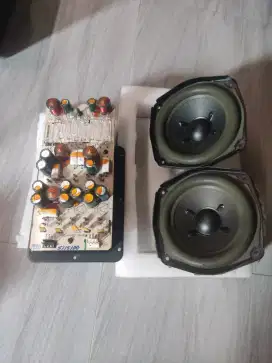 Speaker Subwoofer Bose Dan Crossover Bose Acoustimass 10 Atau 15