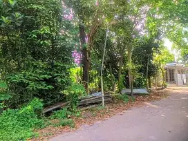 Tanah pekarangan semut jambu kec kayen kidul kediri hari sekoto