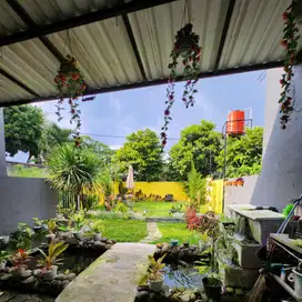 DIJUAL RUMAH CANTIK SIAP HUNI DASANA INDAH