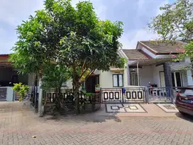 Rumah Murah Kawasan Elite Permata Jingga Dekat Griya Shanta Suhat