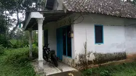 Tanah luas bonus rumah kidal tumpang malang