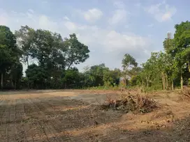 Tanah belakang LPMP Kalasan, Dekat SMAN1 Kalasan, Sleman Jogja