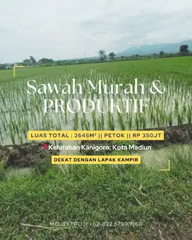 TANAH SAWAH MURAH TENGAH KOTA