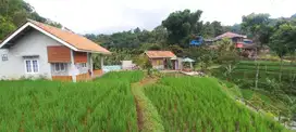 Rumah Villa Kolam Ikan dan Kebun Durian Dan Sawah di Sumedang Selatan