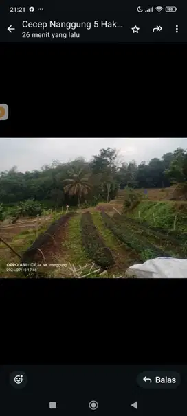 jual tanah pinggir jalan desa
