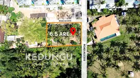 Prime 6.5-Are Leasehold Land in Tranquil Batu Tampih, Kedungu