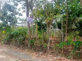 Tanah Cocok Untuk Perumahan, Jalan Lebar