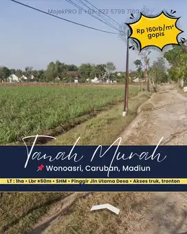 Tanah Sawah Murah di Wonoasri, Caruban