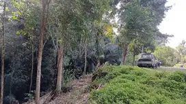 Tanah di Bakbakan Gianyar Bali, View Jungle, SHM Lengkap