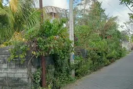 Dijual tanah lokasi jimbaran bawah