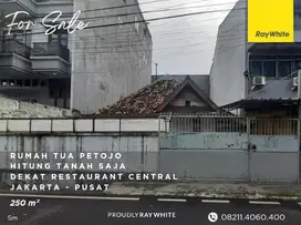 Rumah Tua Petojo - Hitung Tanah - 250m²
