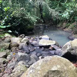 Di jual tanah kebun langsung sungai view jugle di tabanan