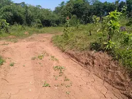 Tanah di Gunung Pati cocok untuk perumahan