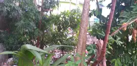 Dijual tanah di Mangga Besar, Taman Sari, Jakarta Barat