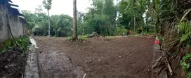 Tanah SHMP di Turi Utara pinggir jln kampung ada sungai kecil u/rumah