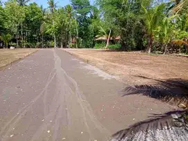 Tanah Murah Dekat Bandara YIA Jogja, Siap AJB
