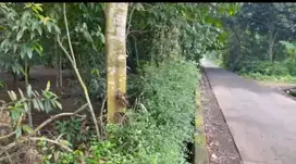 Di Jual Tanah di Palasari Legok Tangerang