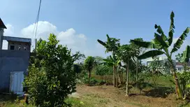 Tanah Dekat Kampus Favorit, Potensi Besar untuk Kos & Rumah