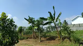 Jual Cepat Tanah Strategis, Cocok untuk Hunian & Kos