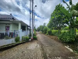 Dijual Tanah Luas di Kawasan Kampus