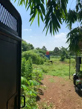 Dijual Tanah Di Cikeusal Serang Banten