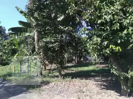 dijual tanah pekarangan murah cocok untuk rumah di sawit boyolali