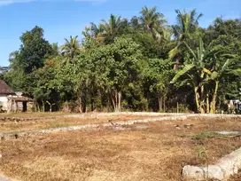 Tanah Dekat UGM Wates Harga 195 Juta