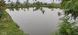 Dijual tanah kolam depan yogya store kota Cianjur