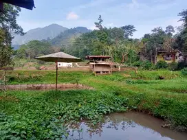 TANAH KOLAM IKAN AIR NORMAL BONUS RUMAH