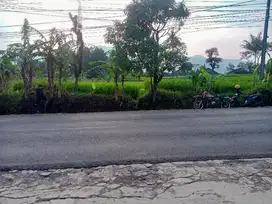 Dijual tanah sawah dipinggir jalan raya pengalengan