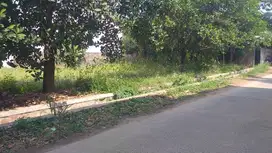 Tanah darat pinggir jln lokasi ds tegal luar bojongsoang
