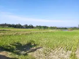 Tanah Strategis Bantul SHM Dijual – Mulai Rp 231 Juta, Jangan Lewatkan