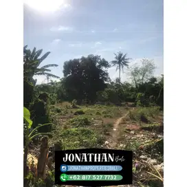 Freehold tanah lokasi ubud sakah Sukawati Gianyar Bali - Lskt