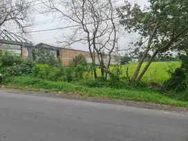 Tanah Basah Zona Kuning ( bisa dikeringkan ) Dekat Solo Baru