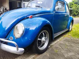 Vw kodok belo 1961