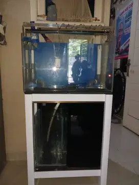 Aquarium Laut (bisa tawar)