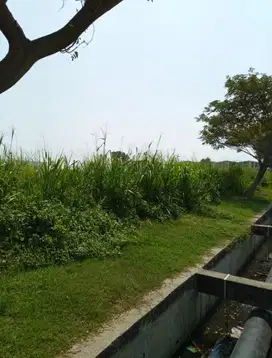 Dijual tanah Industri di kawasan industri Kendal KIK Kaliwungu Kendal