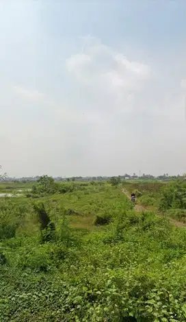Dijual Cepat Tanah Luas Di Sepatan Lebak Wangi Tangerang