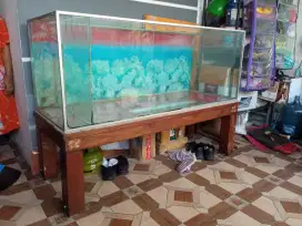 Aquarium, Aquascape, akuarium