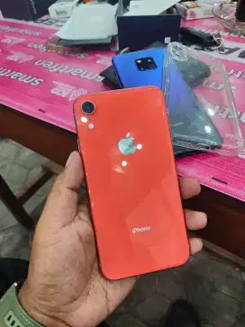 iPhone XR 256 Fulset