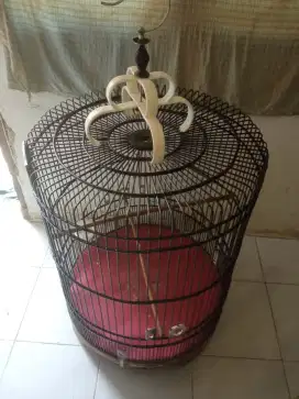 Kandang murai no 2