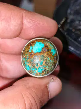 Pirus persia bulat