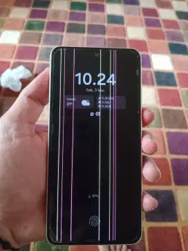 Samsung galaxy s21 FE